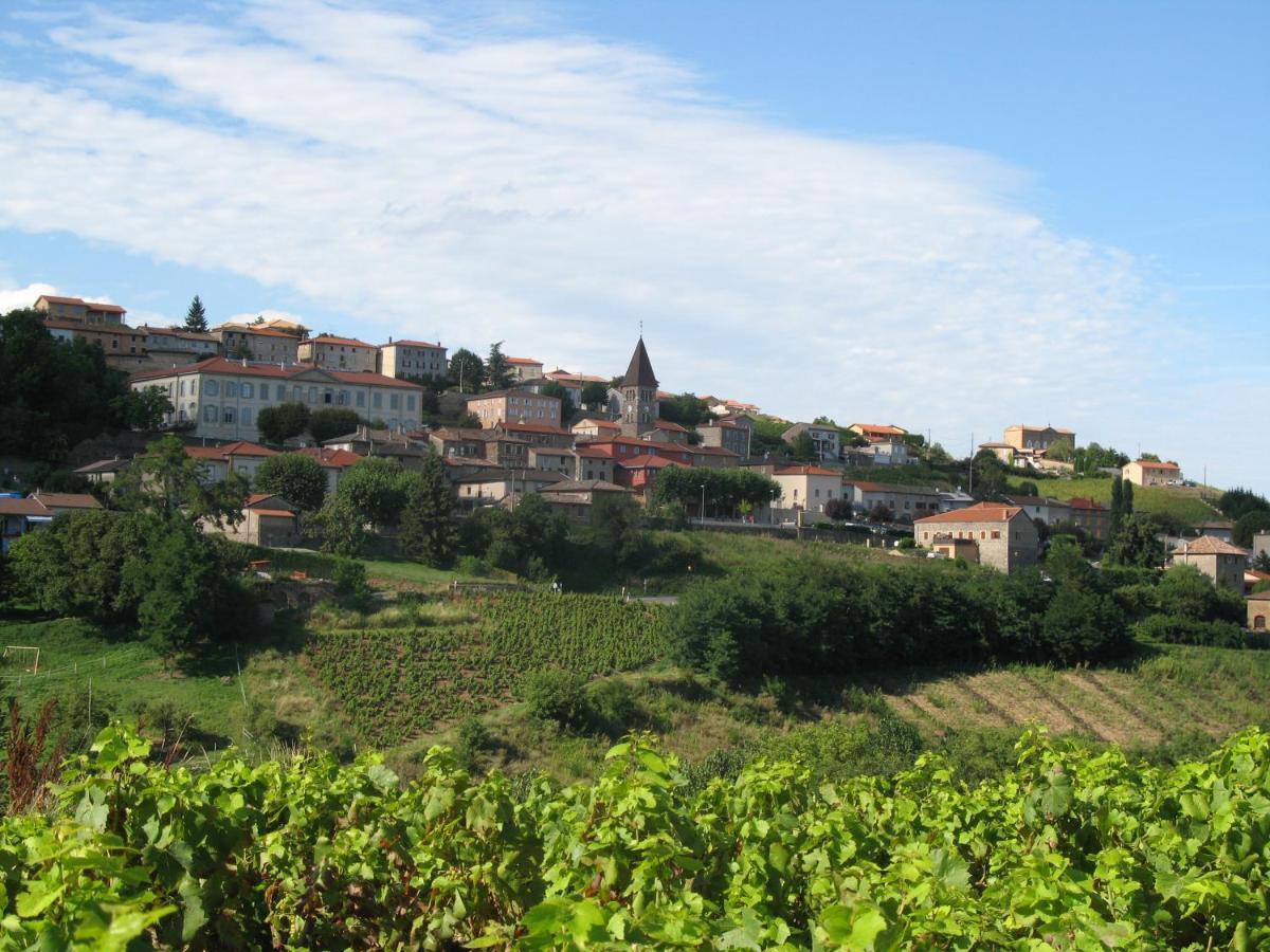 Hotel Domaine Des Gardette Vaux-en-Beaujolais Esterno foto