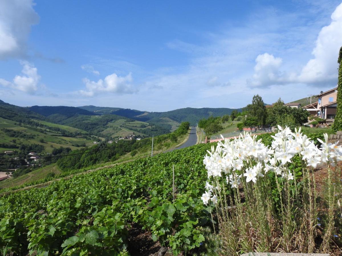 Hotel Domaine Des Gardette Vaux-en-Beaujolais Esterno foto