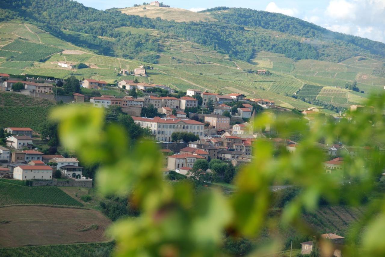 Hotel Domaine Des Gardette Vaux-en-Beaujolais Esterno foto